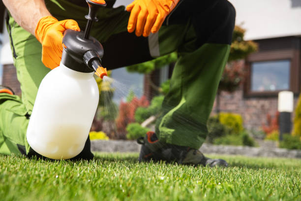 Pest Control for Warehouses in Sutter Creek, CA